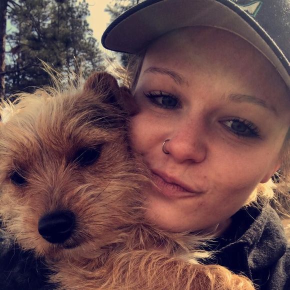 Meet your Posher, Sunny - Picture 1 of 1